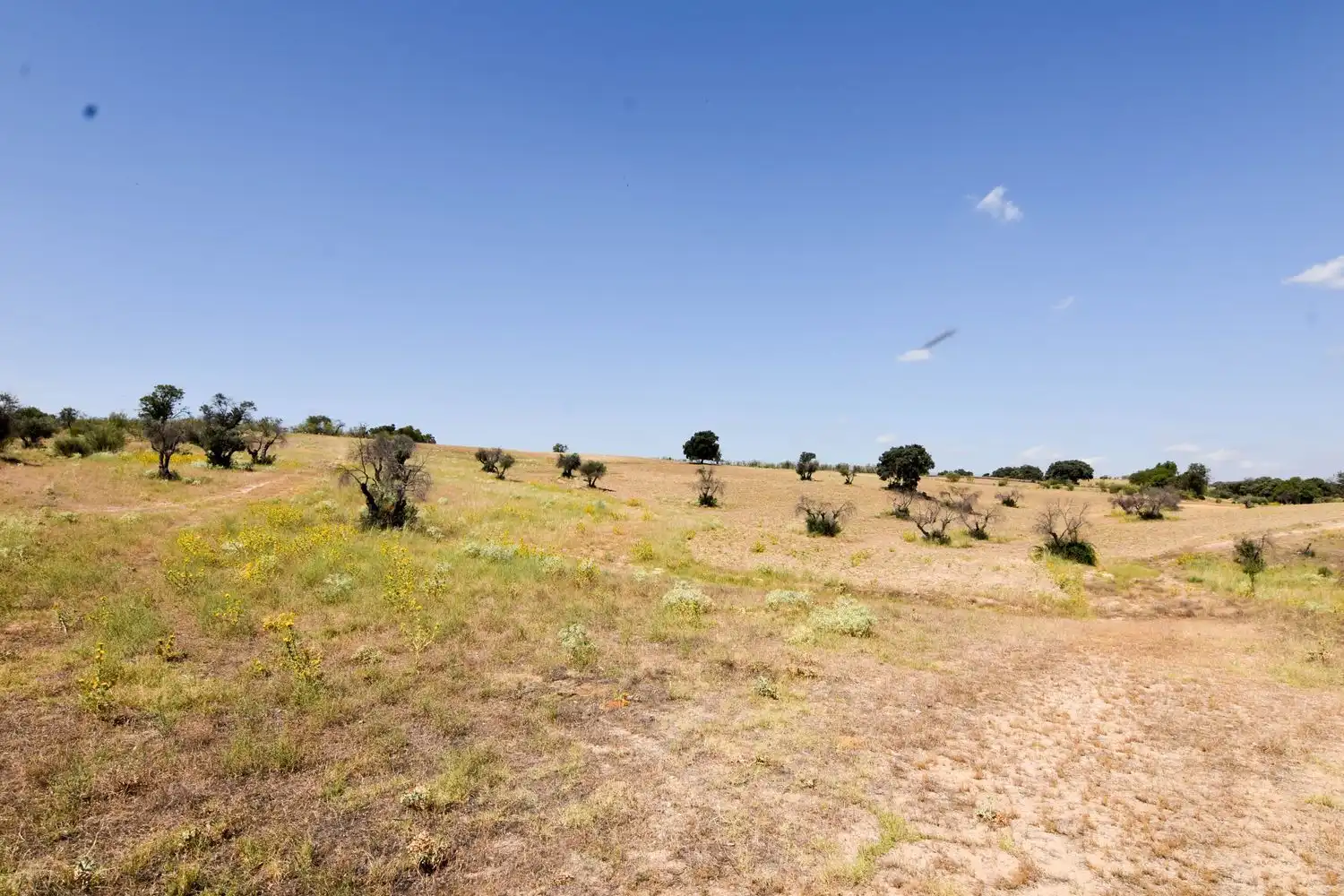 Finca rústica en venta en Navalcarnero con Jardín privado, Terraza y Trastero