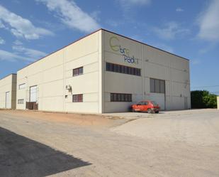 Exterior view of Industrial buildings for sale in Deltebre