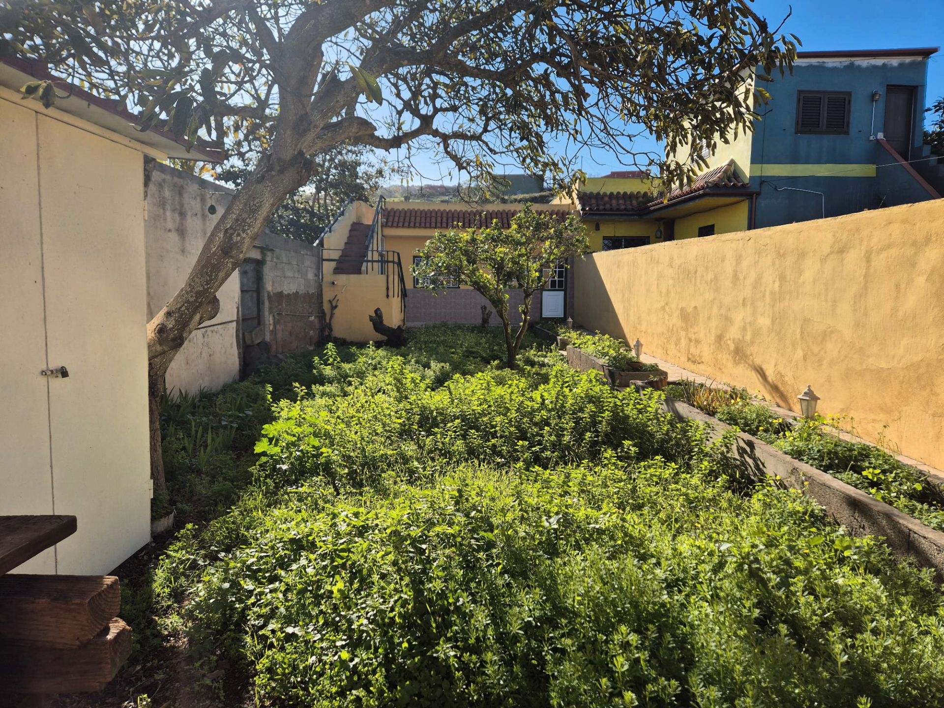 Casa o chalet en venta en Calle los Abales, Tacoronte - Los Naranjeros