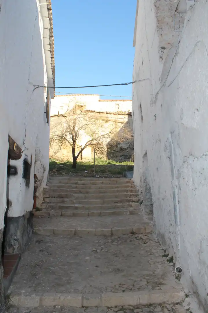 Casa adosada en venta en Calle Real, Alquife