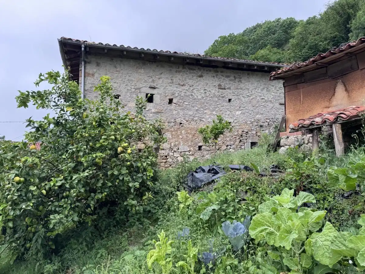 House for sale in Peñamellera Alta, imagen 3