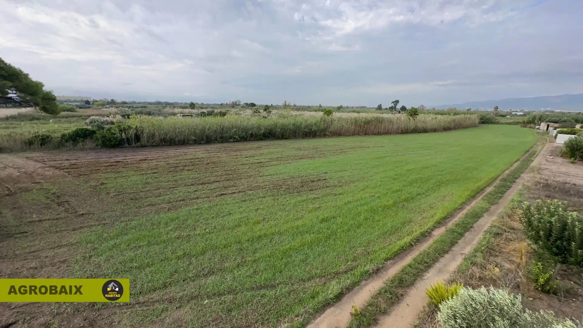 Rustikales Grundstück zum Verkauf in Torrent Ballester, imagen 18
