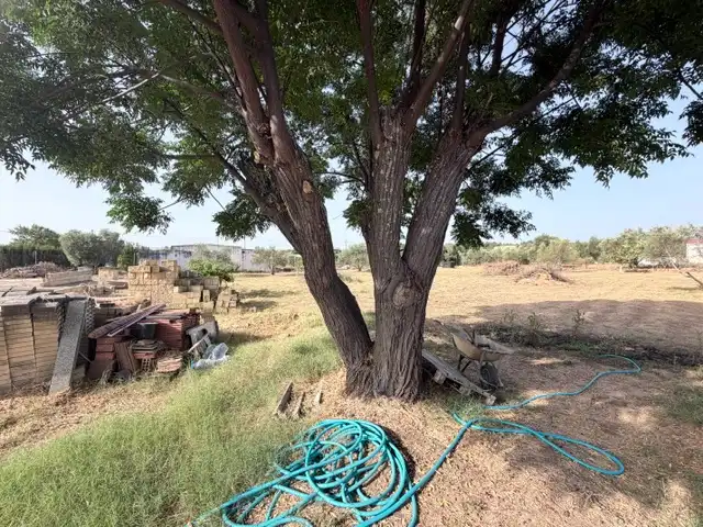Terrain rustique à vendre à Finca la Calvilla, imagen 22