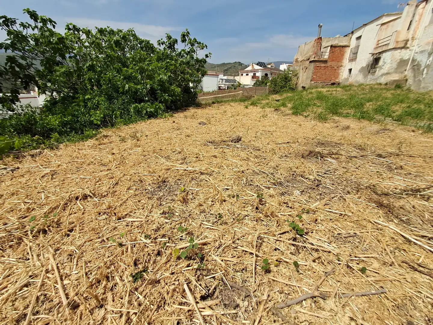 Residencial en venda en Alcolea