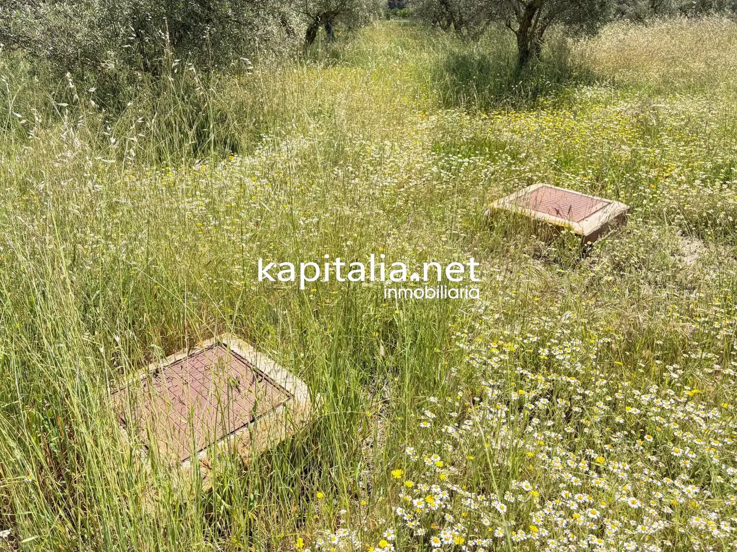 Chalet con terraza en venta en Batoi, imagen 33