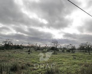 Residencial en venda en Santanyí
