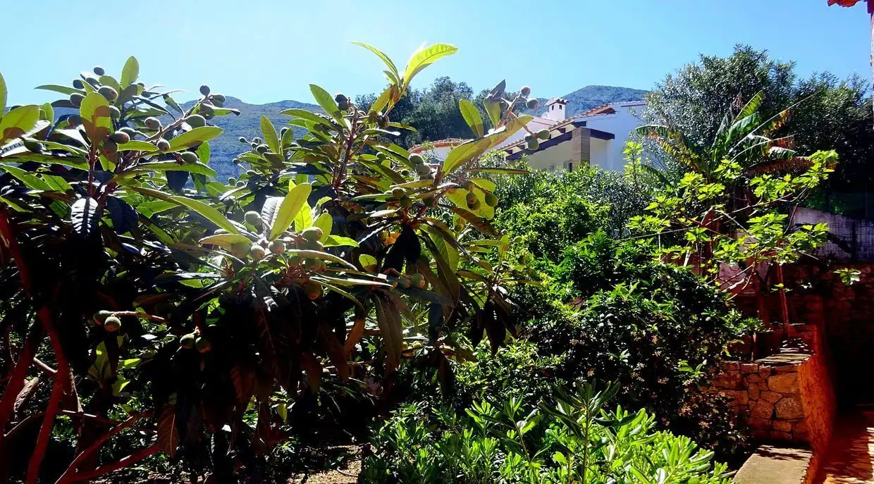 House with garden for sale in Corral de Calafat 26E, imagen 69