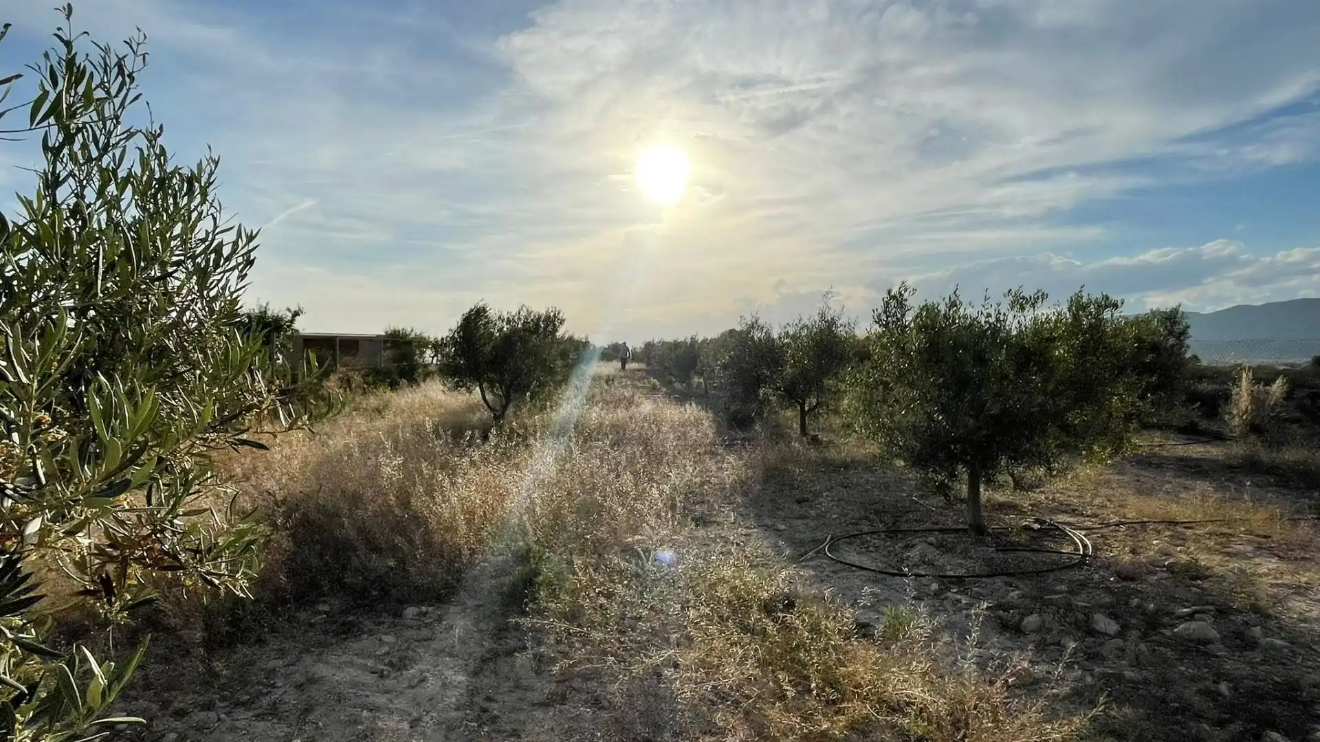 Casa rústica con jardín en venta en Los Almagros - Los Paganes - El Escobar, imagen 39