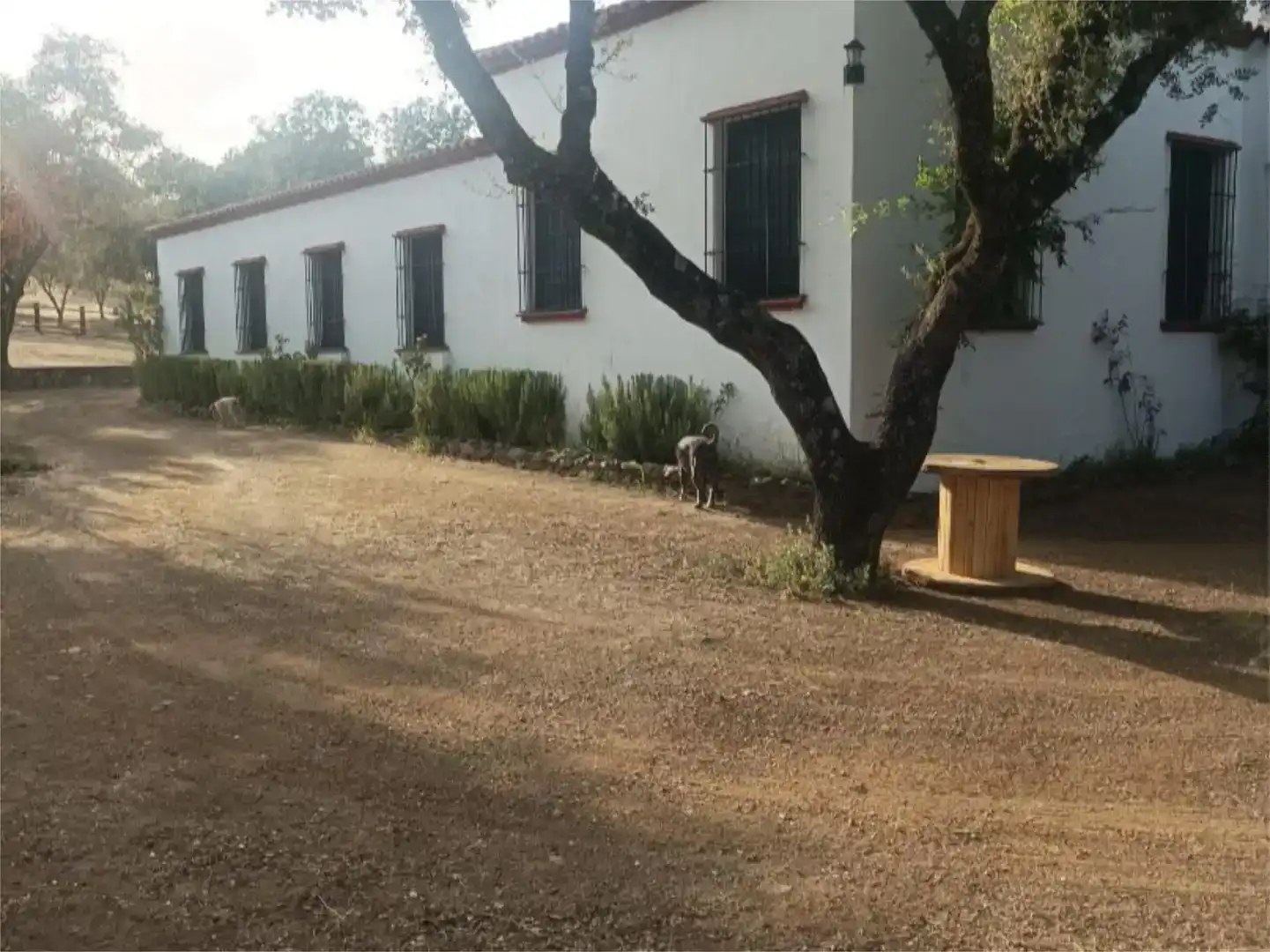 Jardí de Pis en venda en Alanís amb Jardí privat, Piscina i Moblat