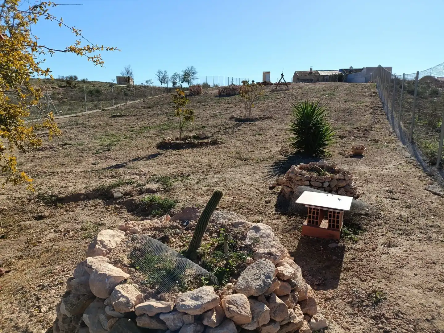 Casa rústica con jardín en venta en Raiguero Bajo, imagen 9