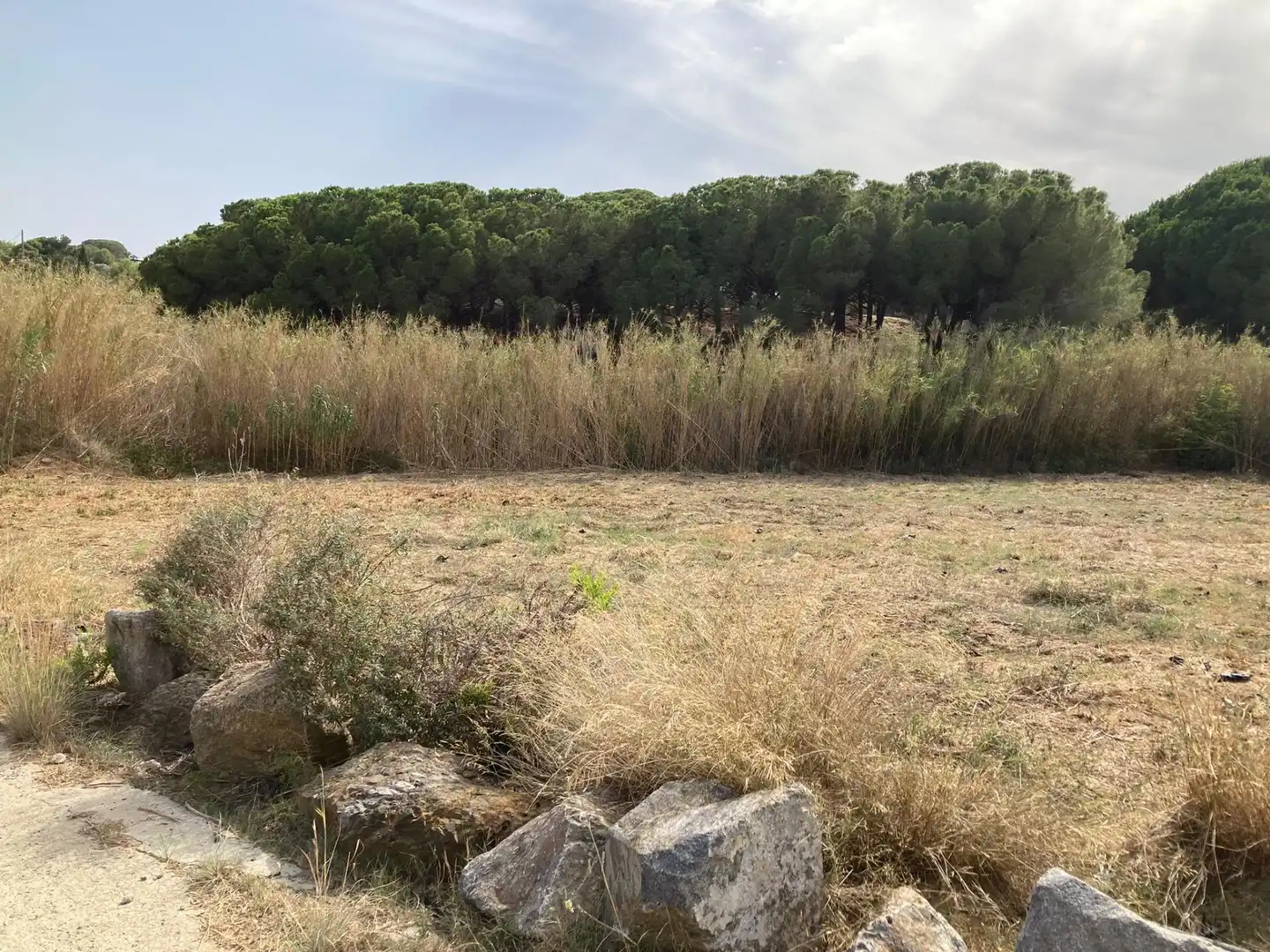 Terreno en venta en Pineda de Mar