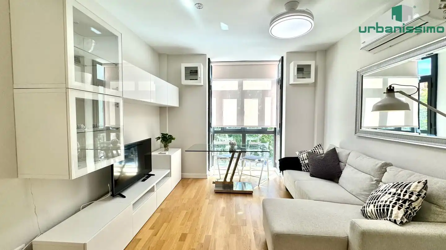Sala d'estar de Apartament de lloguer en Madrid amb Aire condicionat, Traster i Moblat