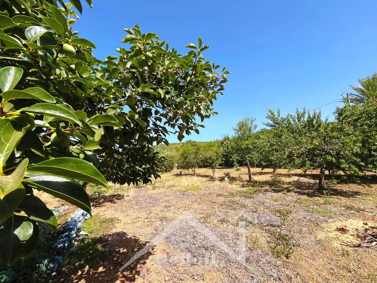 Casa o xalet en venda en Cazalla de la Sierra amb Jardí privat, Traster i Piscina