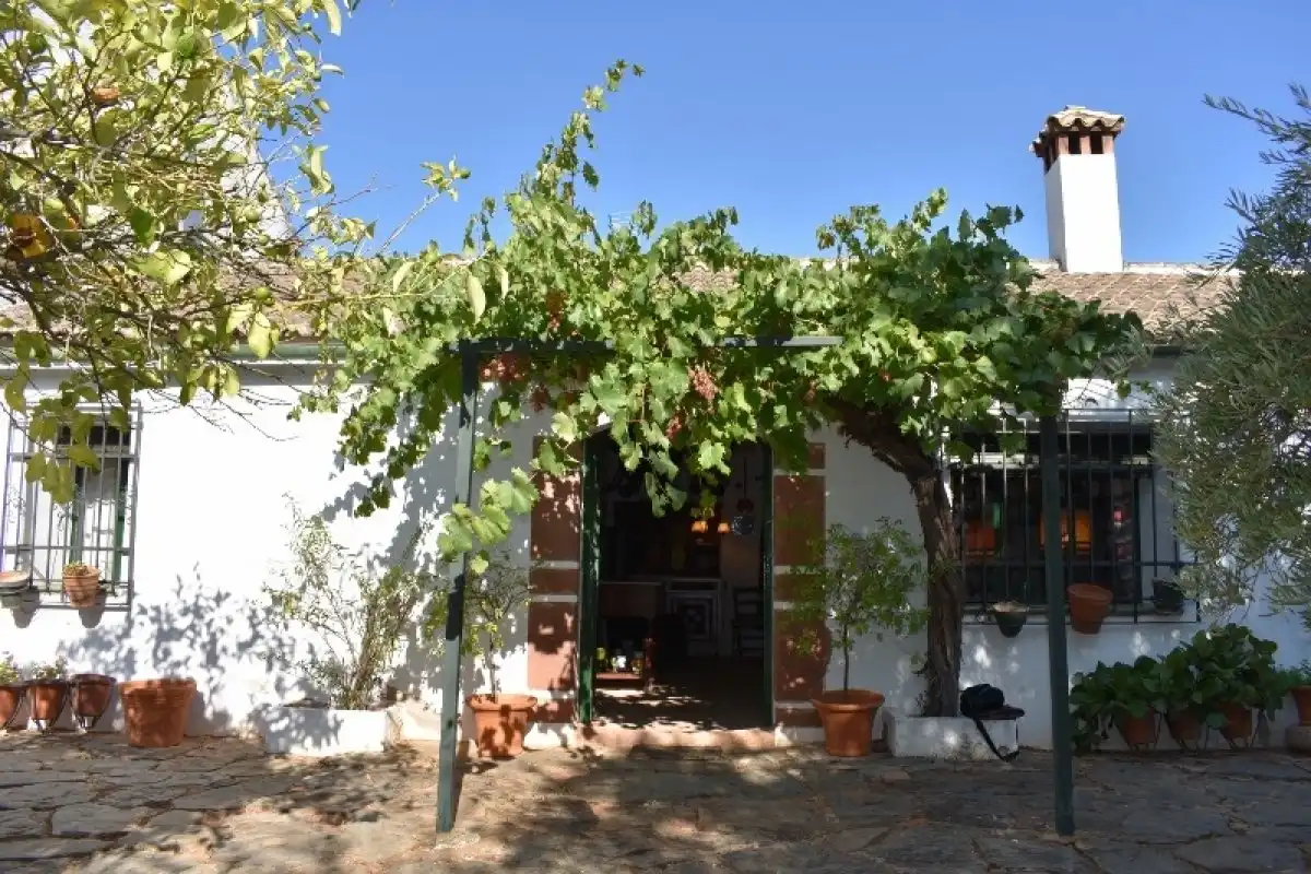 Garten von Country house zum Verkauf in Montoro mit Heizung, Möbliert und Alarm
