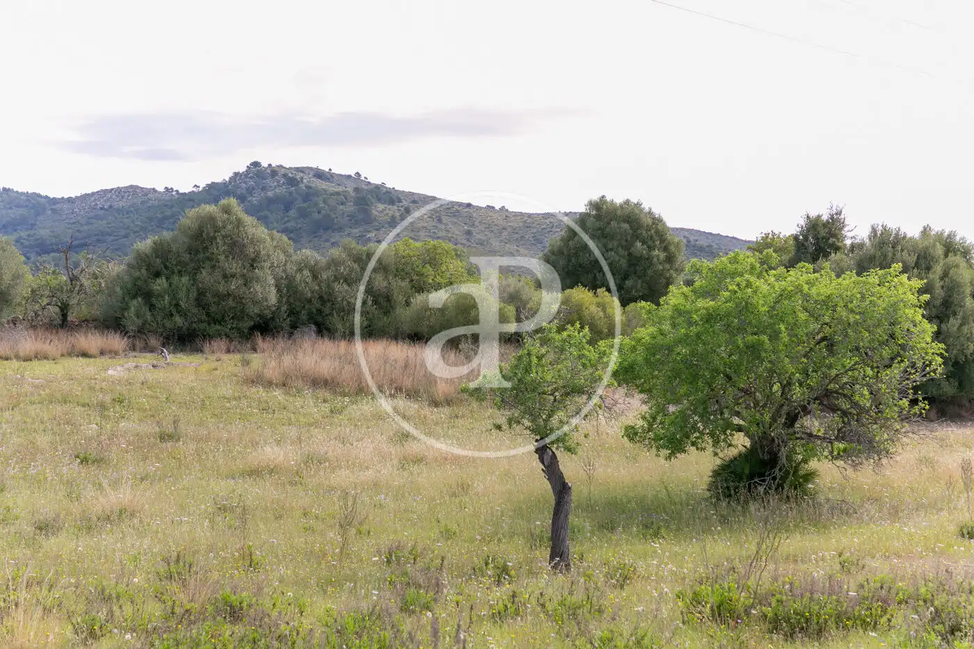 Terreny residencial en venda a Av. Montferrutx, imagen 43