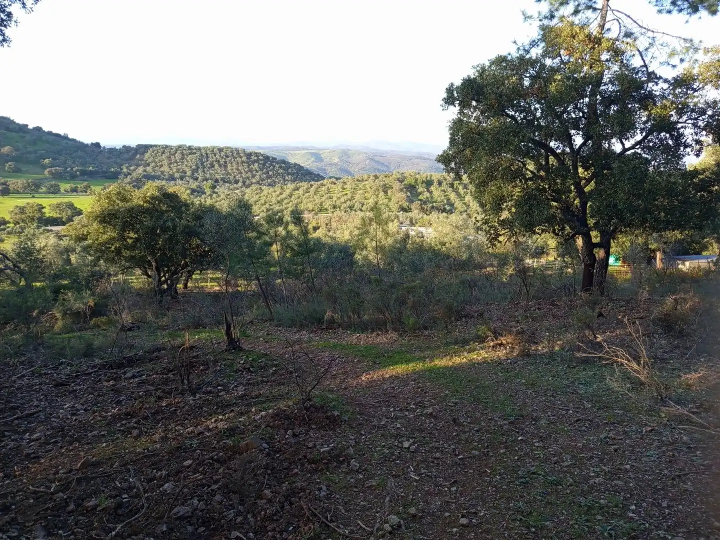 Finca rústica en venda en Almadén de la Plata amb Jardí privat