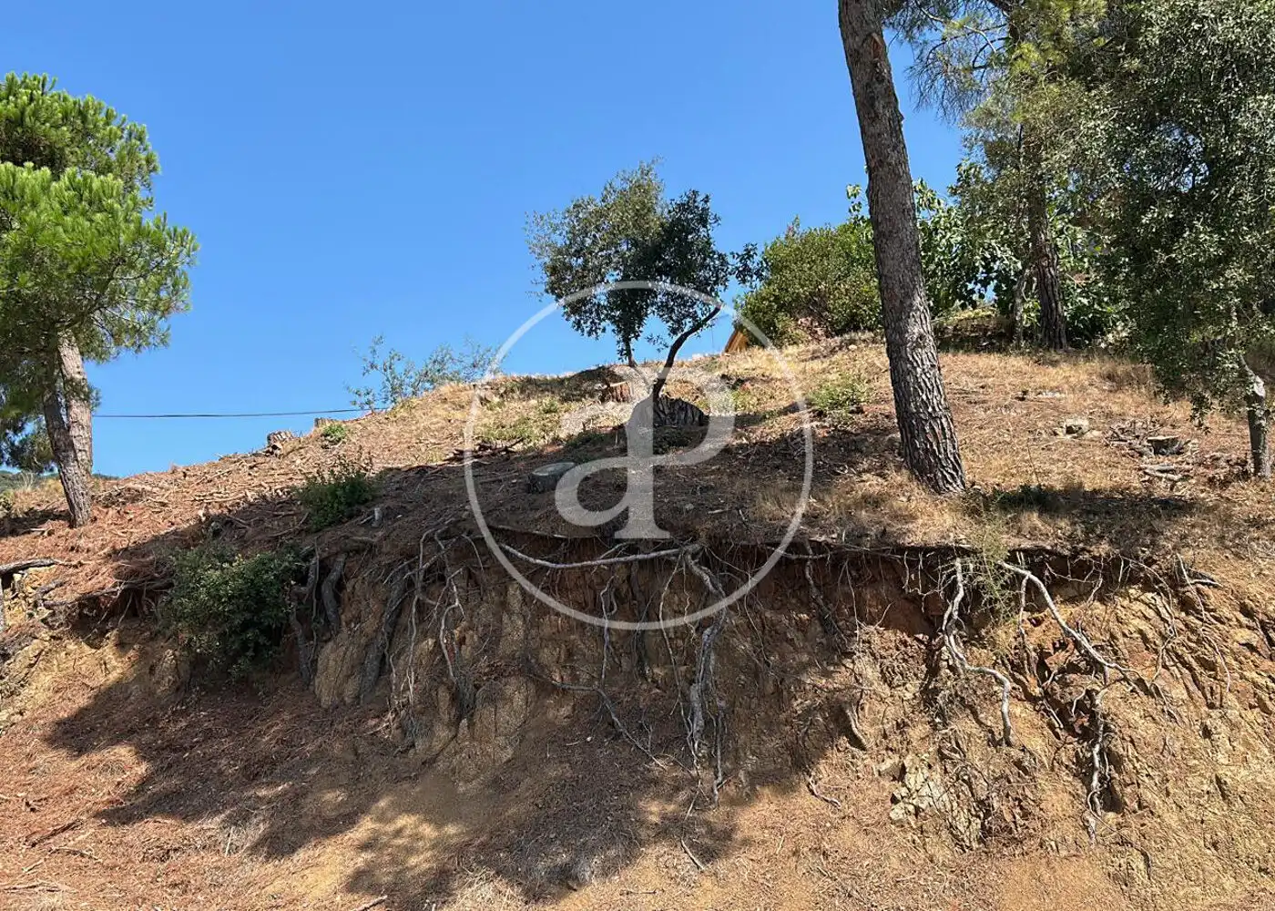 Terreny residencial en venda a Carrer Segarra, imagen 18