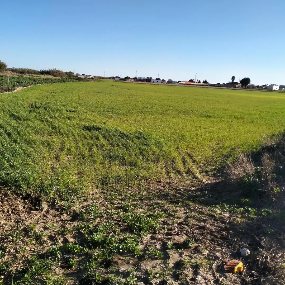 Lands and plots for sale in Los Franceses – La Vega, imagen 7