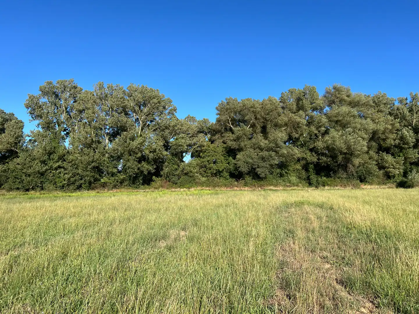 Terreno en venta en Santa Cilia