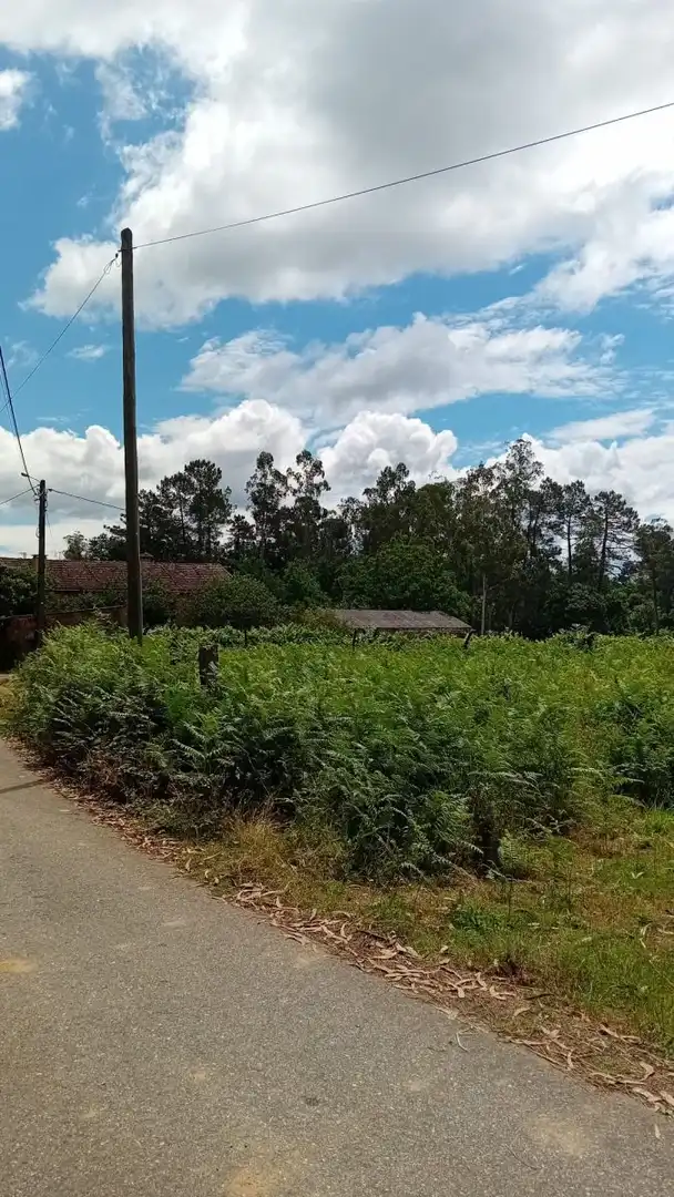 Terrenys i solars en venda a Salvaterra de Miño, imagen 6