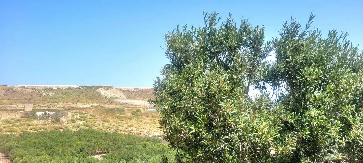 Terreno rustico in vendita a Arico, imagen 16