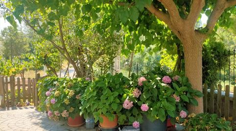 Foto 5 de Casa o chalet en venta en Avinguda de Argimont, Riudarenes, Girona