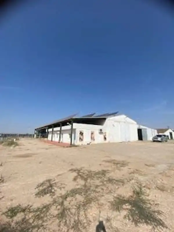 Industriegebäude zur Miete in Camino Tomelloso, imagen 2