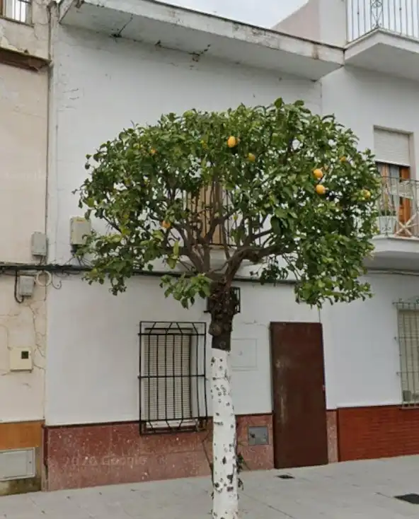 Vista exterior de Casa o xalet en venda en Puerto Serrano