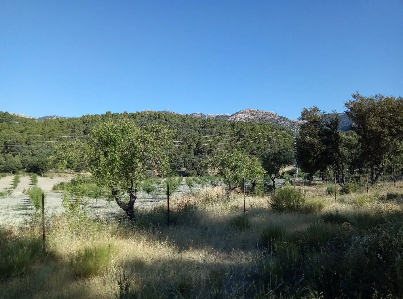 Terreni e lotti in vendita a Huéscar, imagen 66