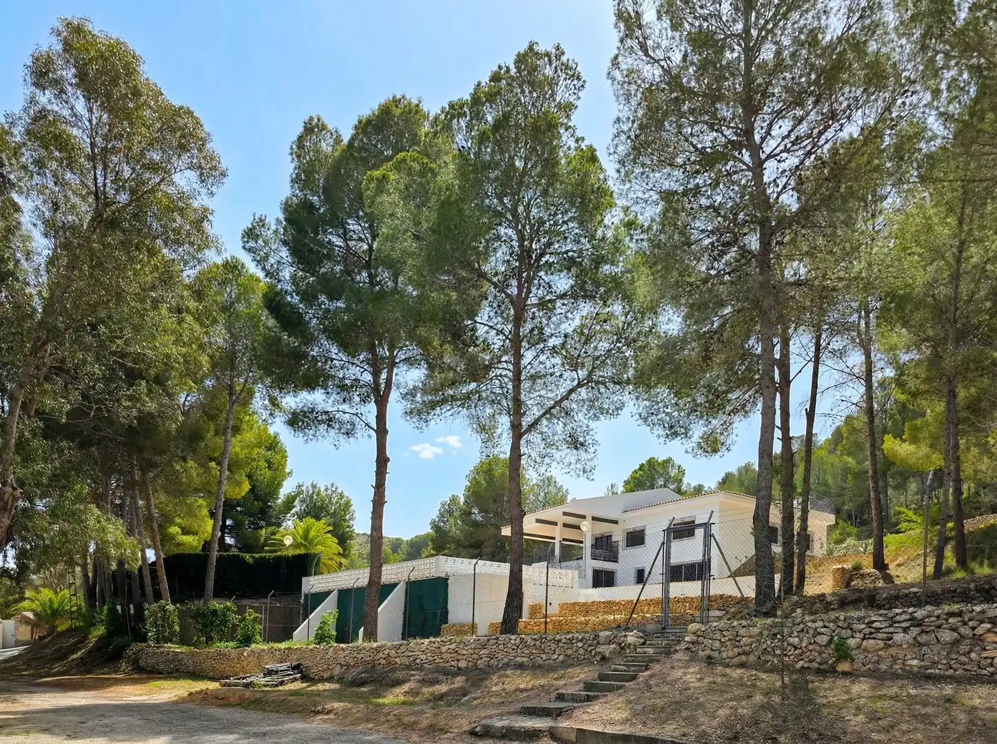 Vista exterior de Casa o chalet en venta en Monóvar  / Monòver con Terraza