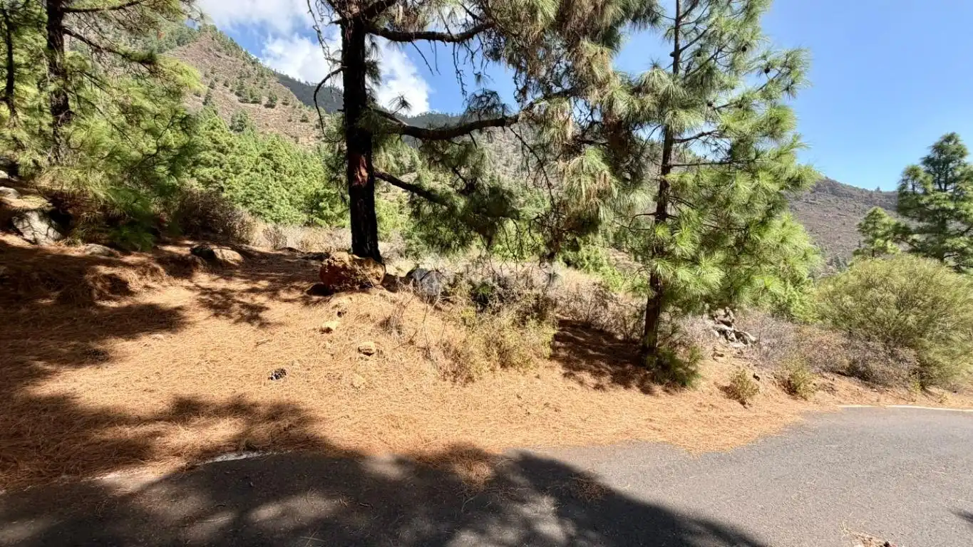 Terreno rústico en venta en Candelaria - Playa La Viuda, imagen 2