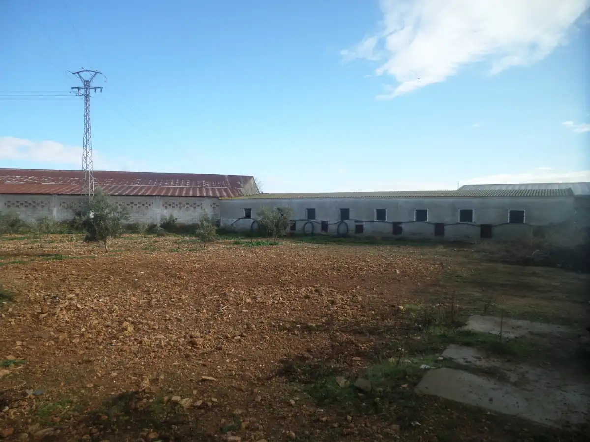 Nau industrial en venda a Tomelloso