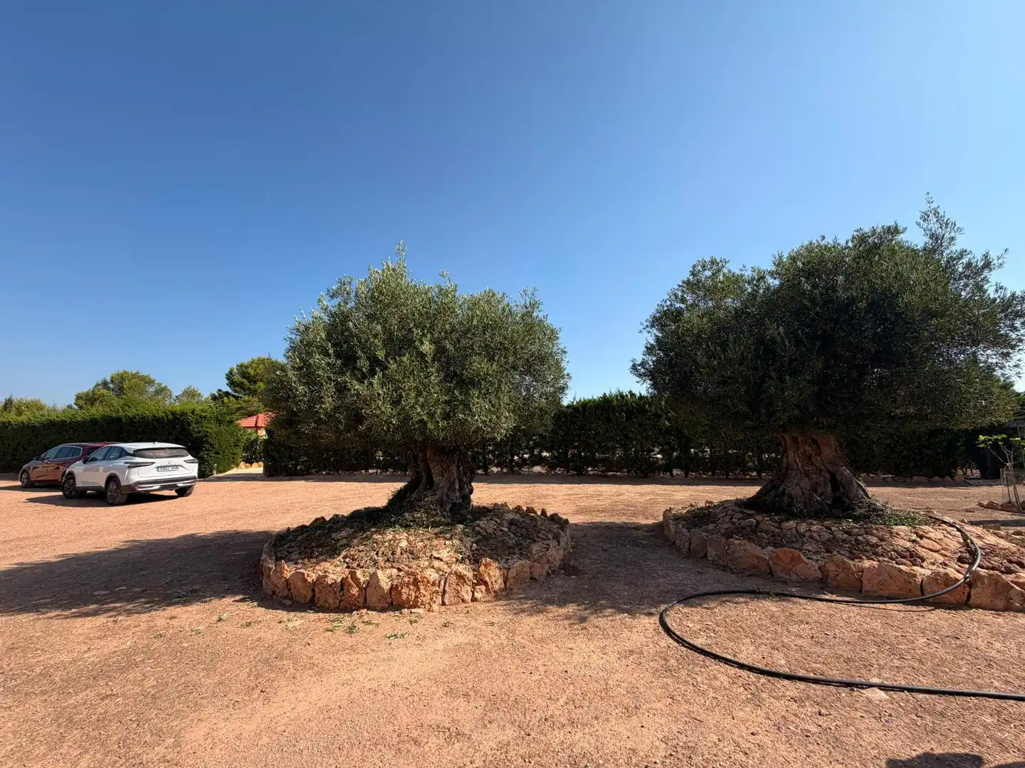 Jardí de Finca rústica en venda en Murcia amb Piscina