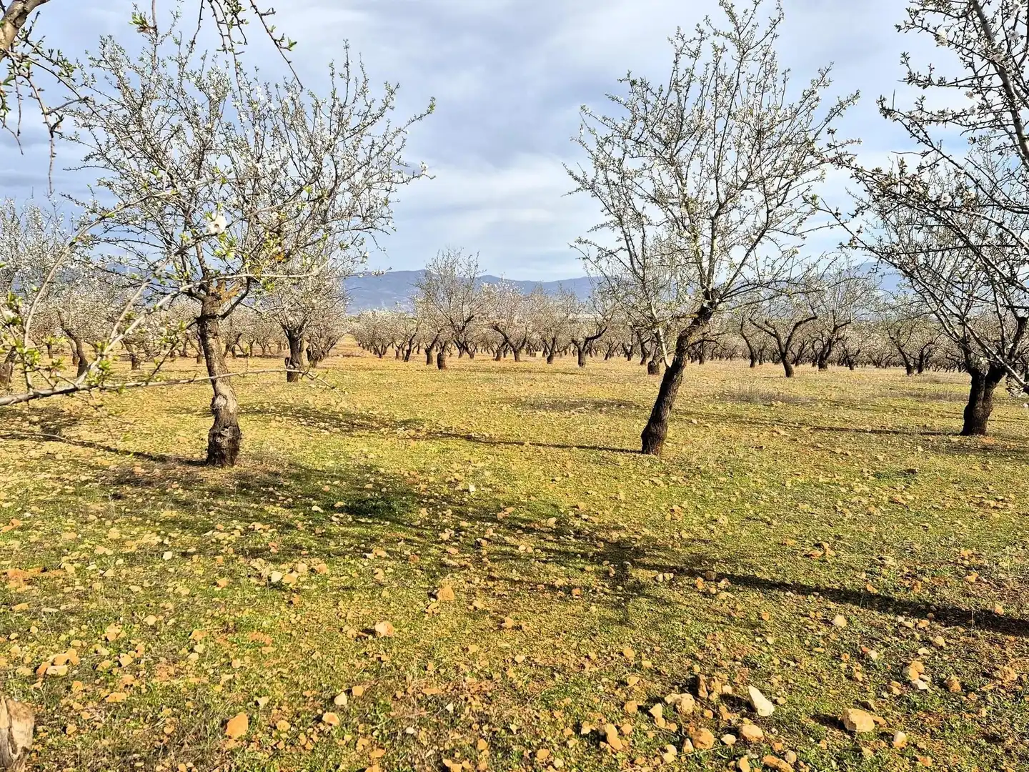 Terreno residencial en venta en Salar, imagen 13