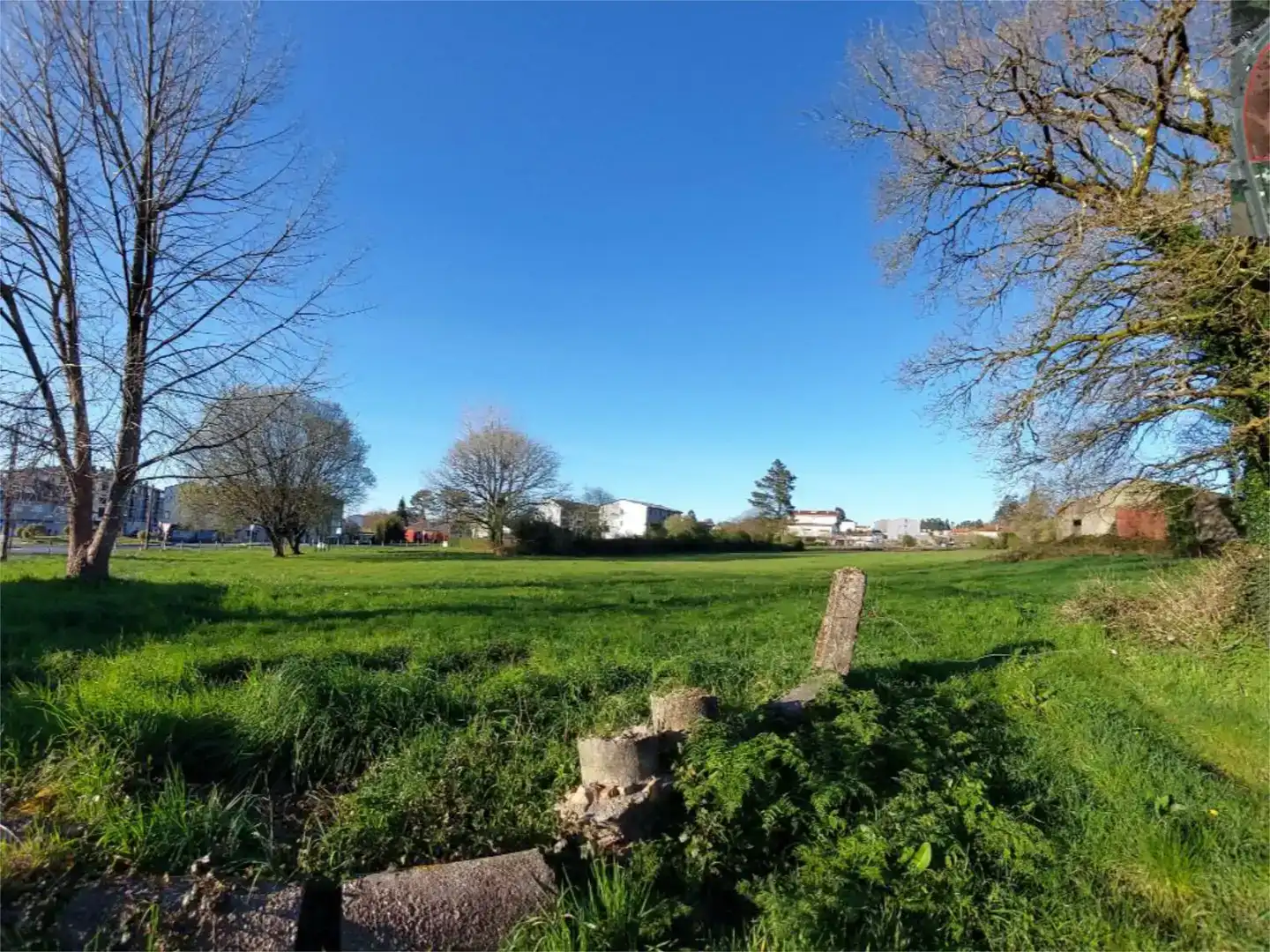 Land for sale in Curtis