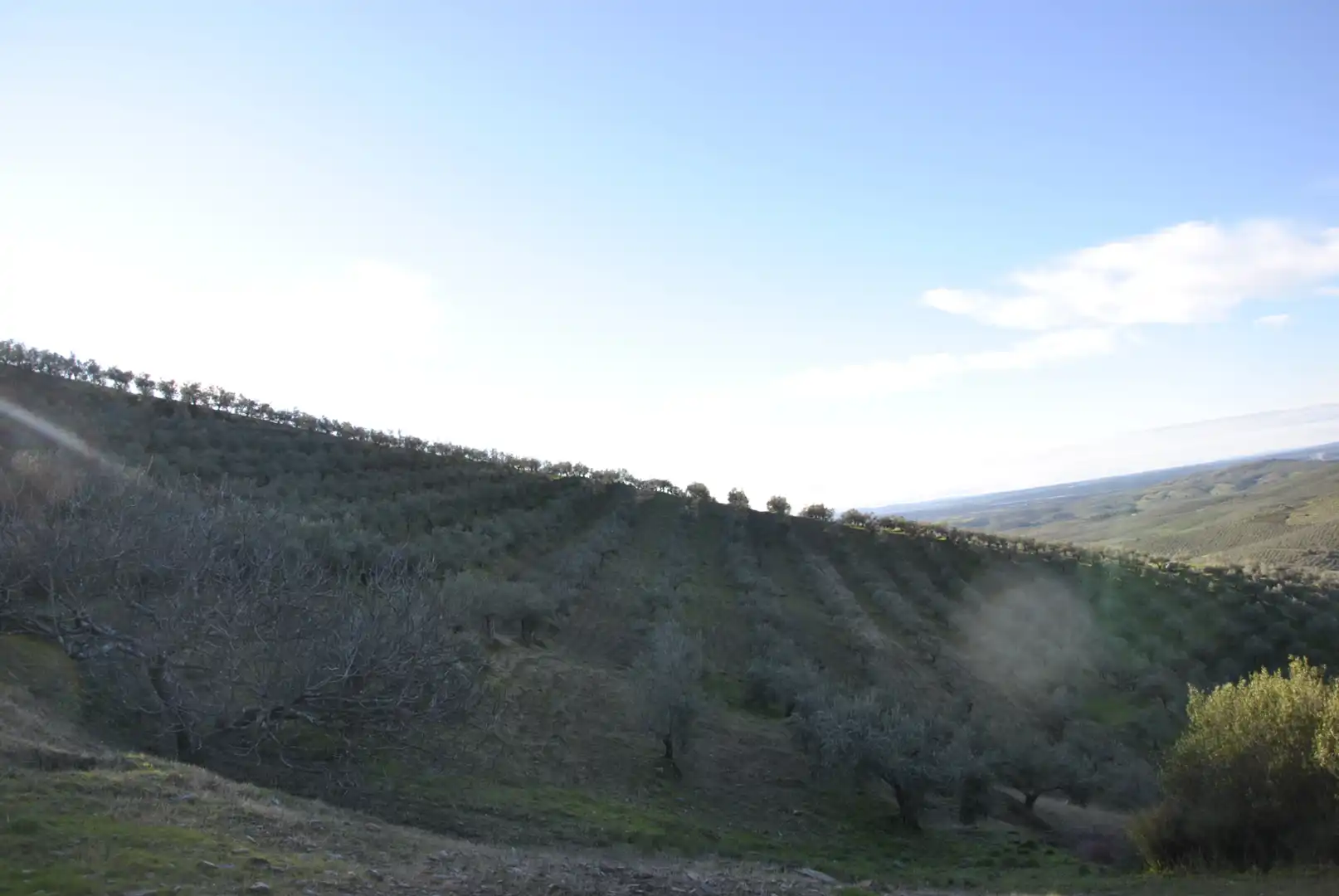 Terreno en venta en La Pesga 