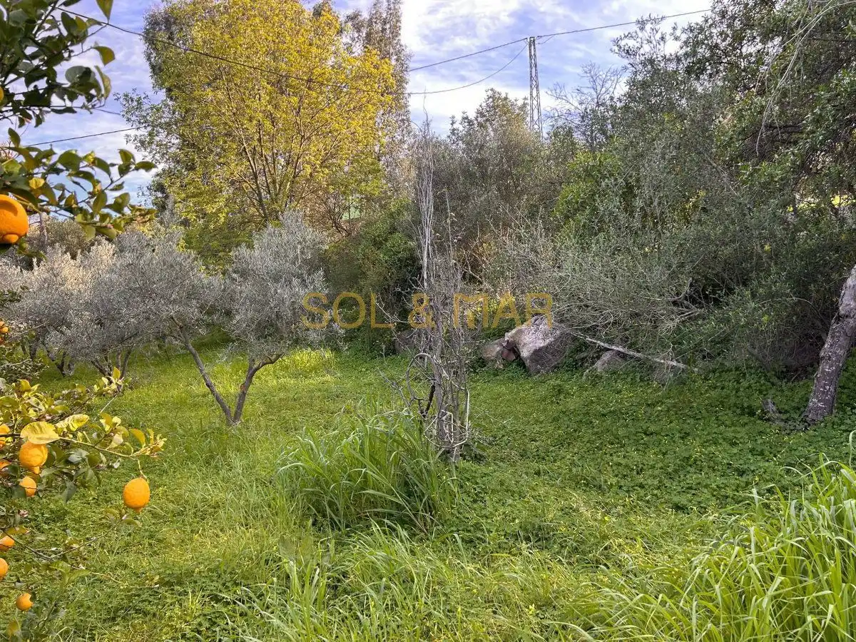 Casa rústica en venta en Nueva Aljaima - Las Tres Leguas - Los Mondeños, imagen 19