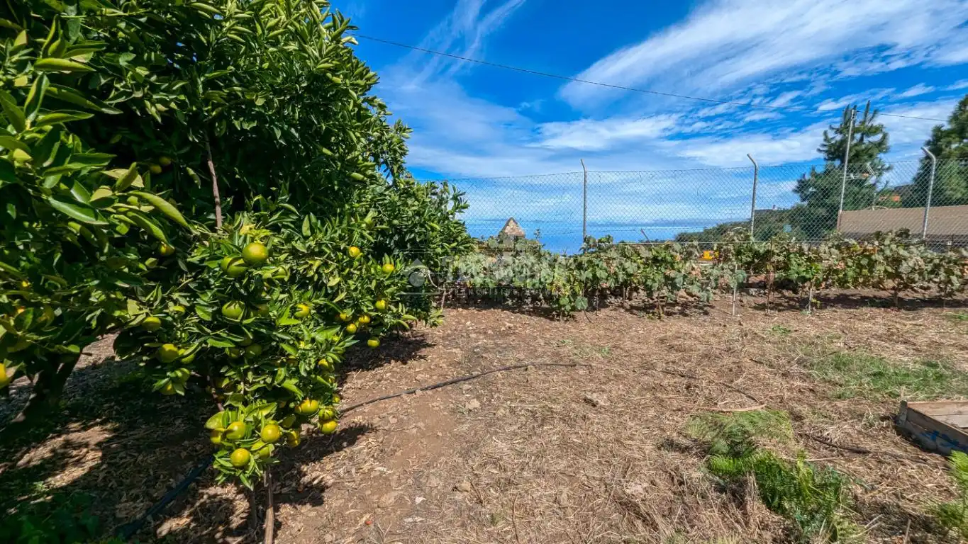 Casa o chalet en venta en Los Realejos pueblo