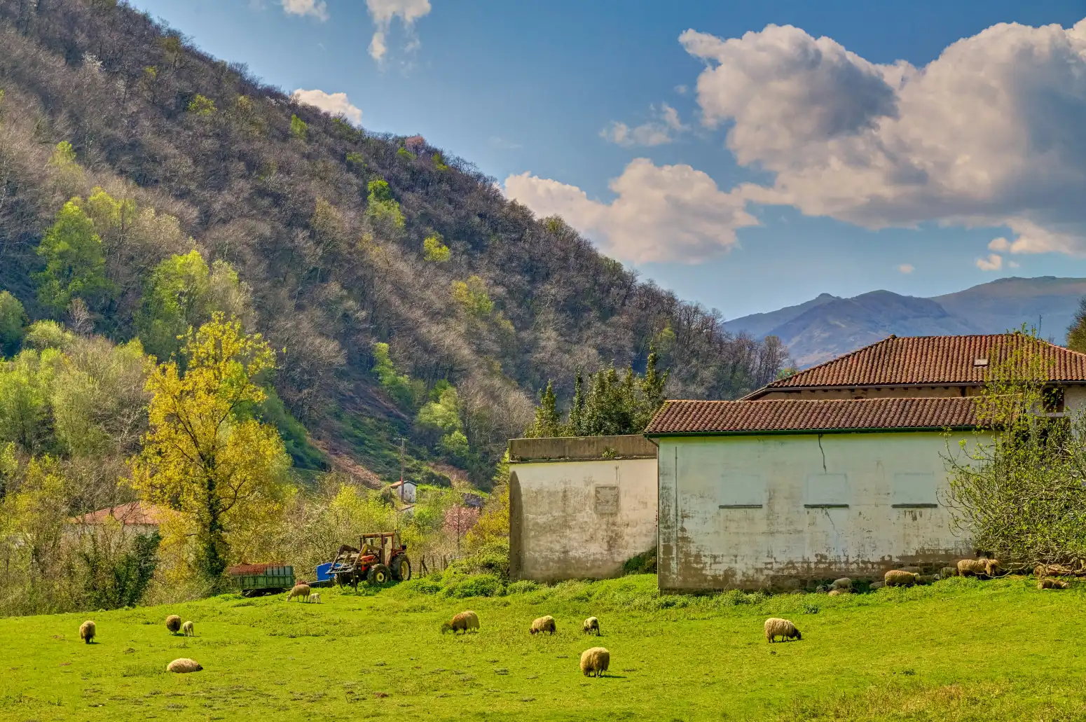 Casa o chalet en venta en Luzaide-Valcarlos - Pekotxeta, 4, Luzaide / Valcarlos