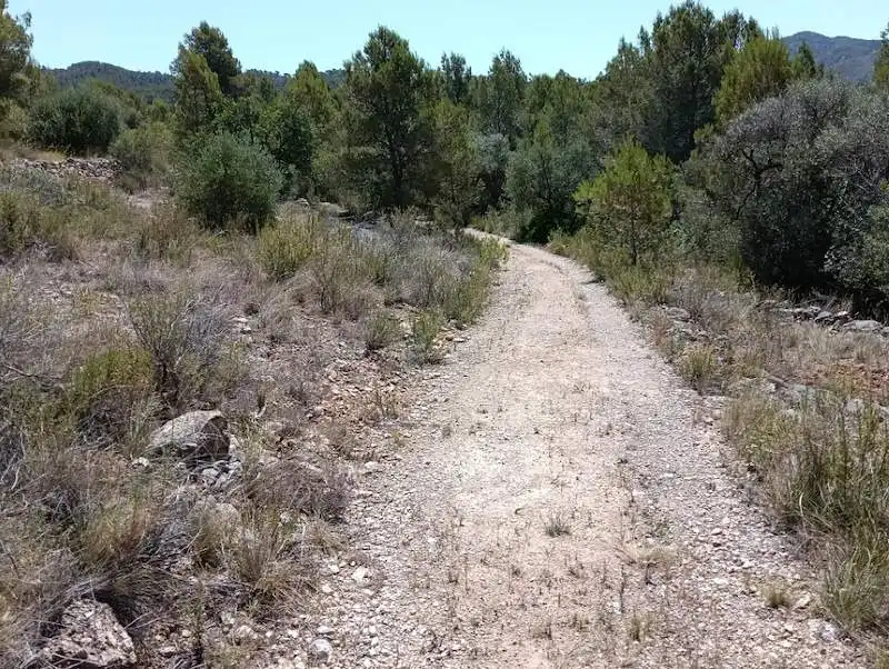Terrain rustique à vendre à Tivenys, imagen 6
