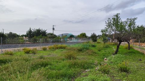 Foto 5 de Finca rústica en venta en Gata de Gorgos, Alicante