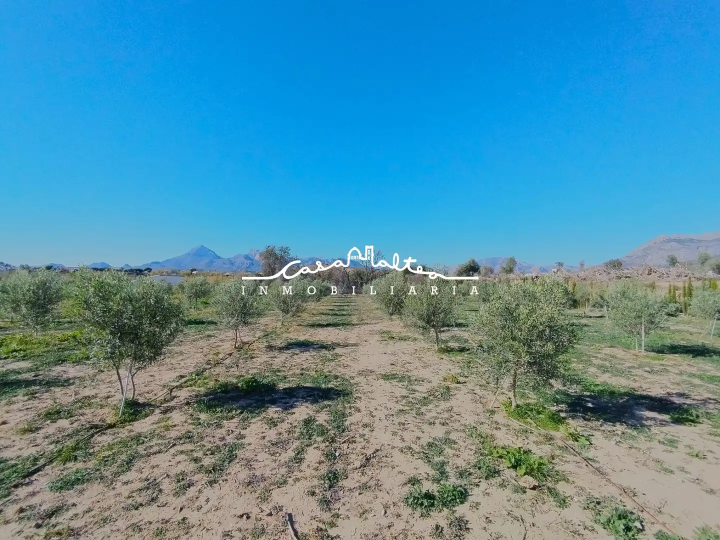 Rural land for sale in L'Olla, imagen 18