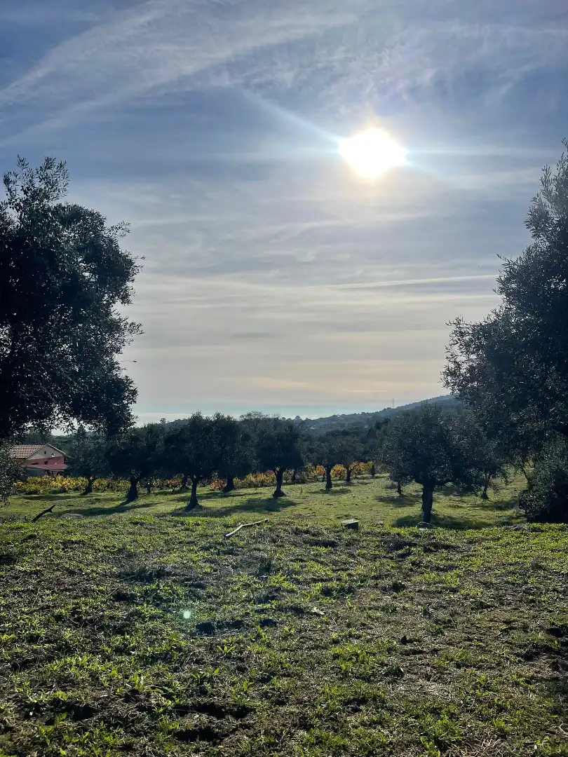 Casa o chalet en venta en Plasencia con Jardín privado y Amueblado