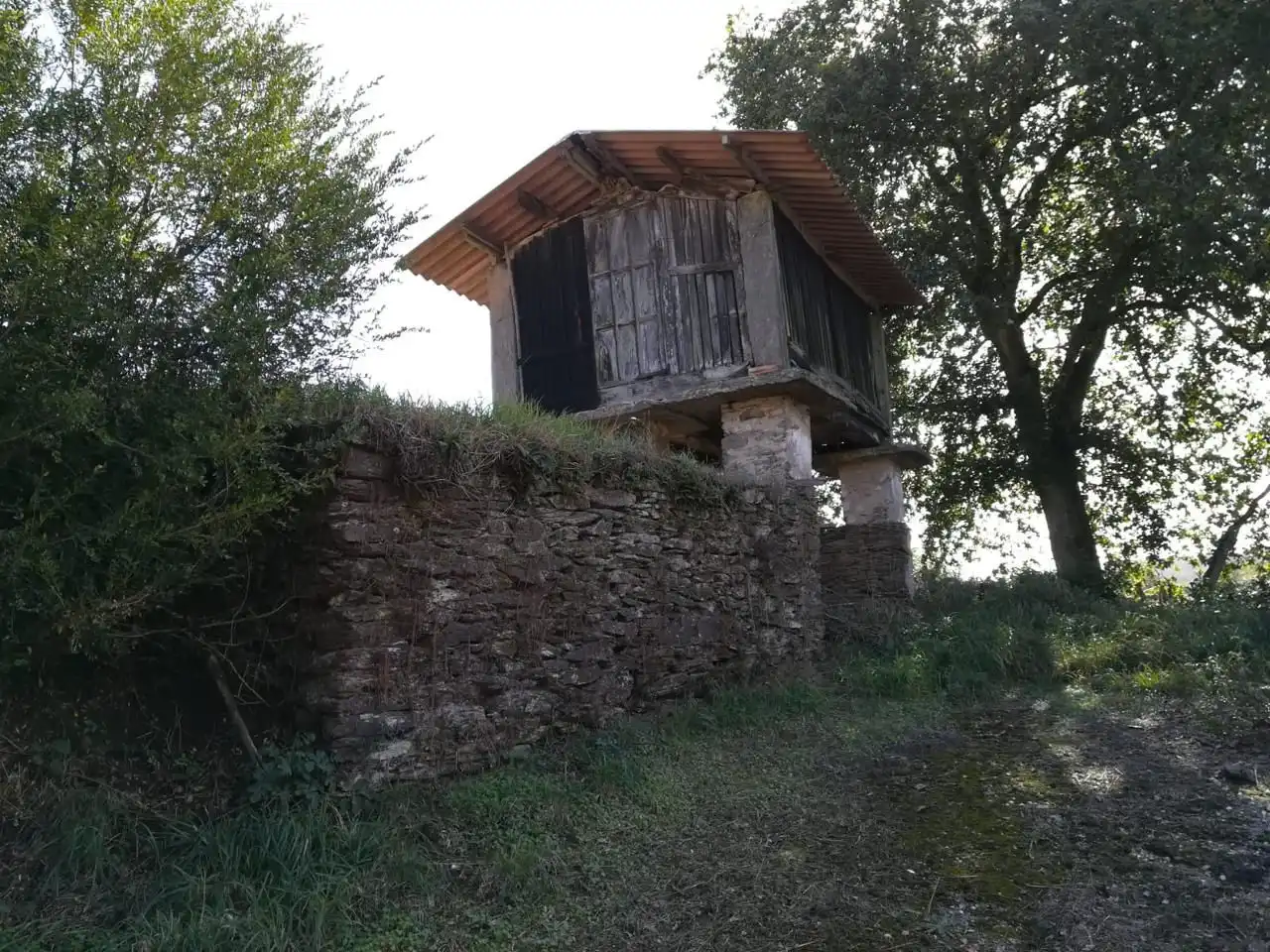 Vista exterior de Finca rústica en venta en O Pino 