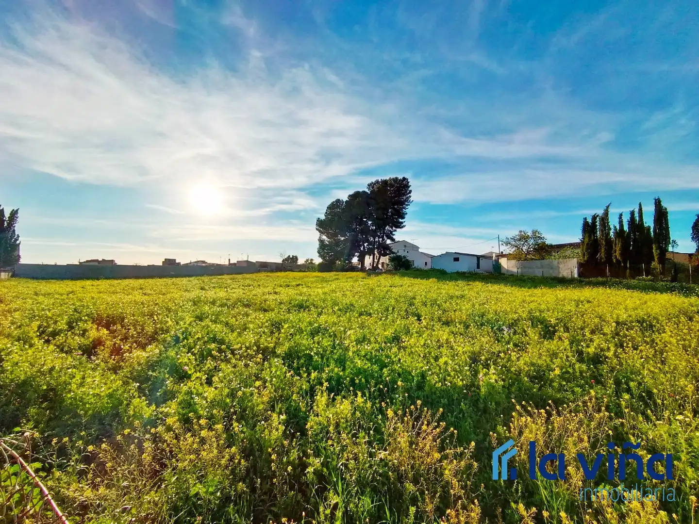Rural land for sale in Mollina