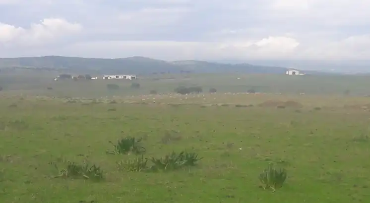 Terreno en venta en Talarrubias