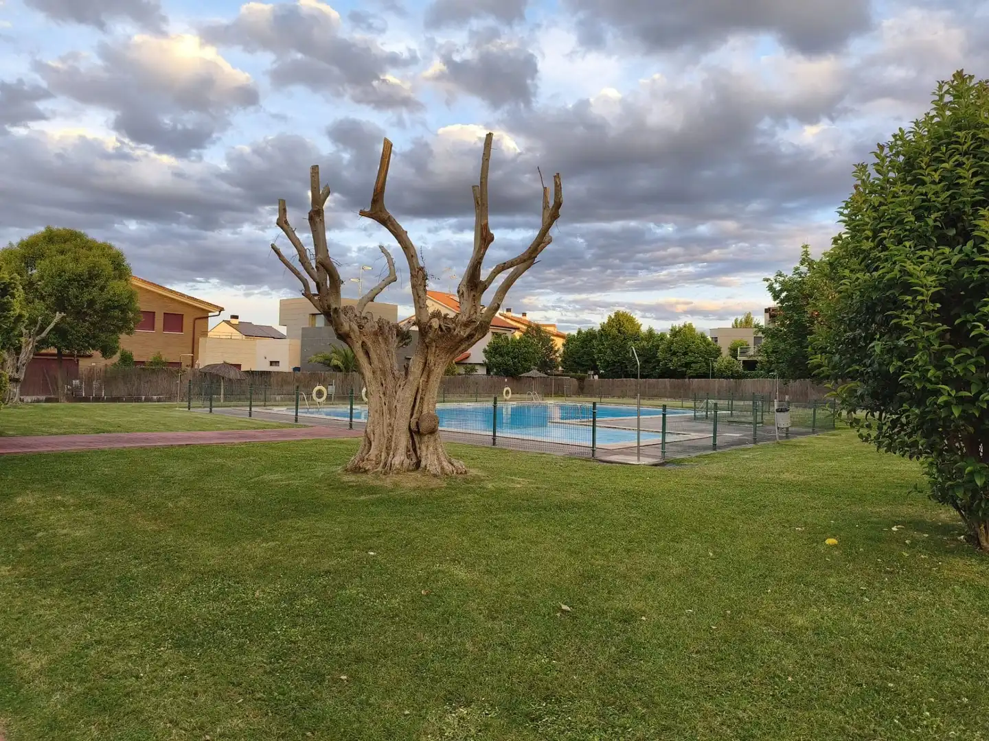 Piscina de Casa o xalet en venda en Navarrete amb Calefacció, Jardí privat i Terrassa