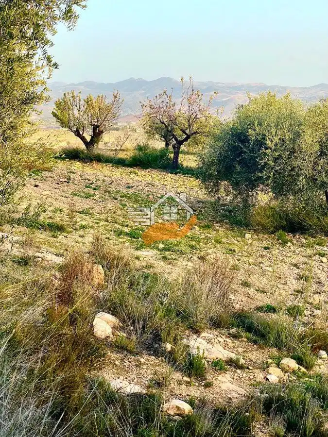 Lands and plots for sale in Vélez-Rubio, imagen 18