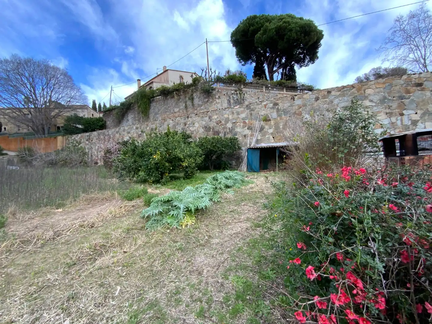 Terreno residenziale in vendita a Carrer RIERA COMA FOSCA, imagen 10