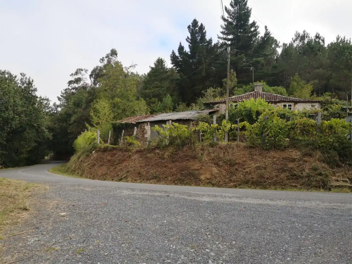 Vista exterior de Finca rústica en venda en Vila de Cruces